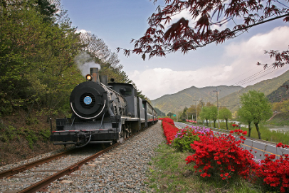 곡성 섬진강 기차마을 레일바이크 입장료 할인 방법