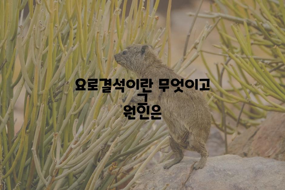 요로결석이란 무엇이고 그 원인은