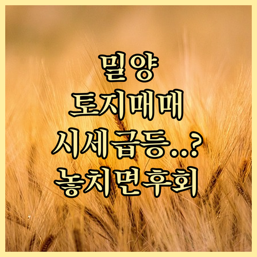 밀양 교차로 부동산 활용 전원주택 토..