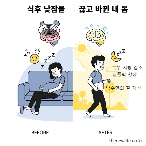 식후 낮잠을 반복할 때와 끊은 후의 몸 상태를 비교한 전후 일러스트 – 뱃살, 집중력, 수면 질의 차이를 강조
