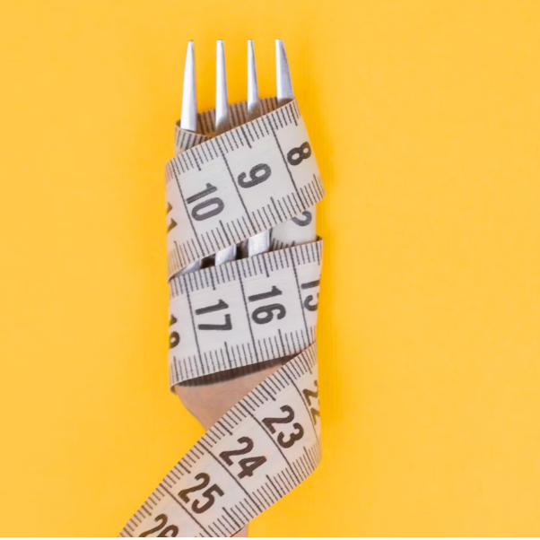 높은 지방 함유량