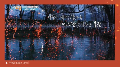 🔥 2026 함안 낙화놀이 예약 가이드: 무진정 불꽃 향연 완벽 즐기기