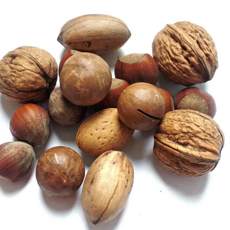 정월대보름 음식