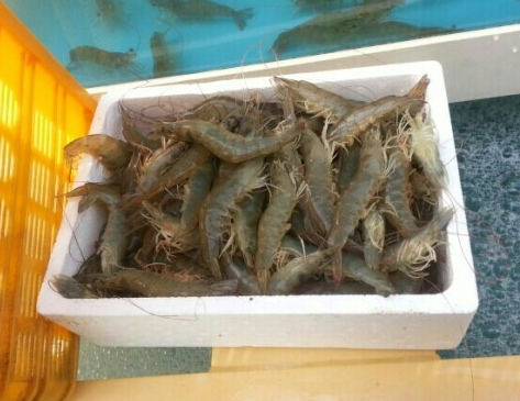 서해수산본점 대표 메뉴