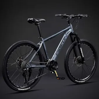 사이클 자전거 브랜드 순위 선수용 자전거 가격_4