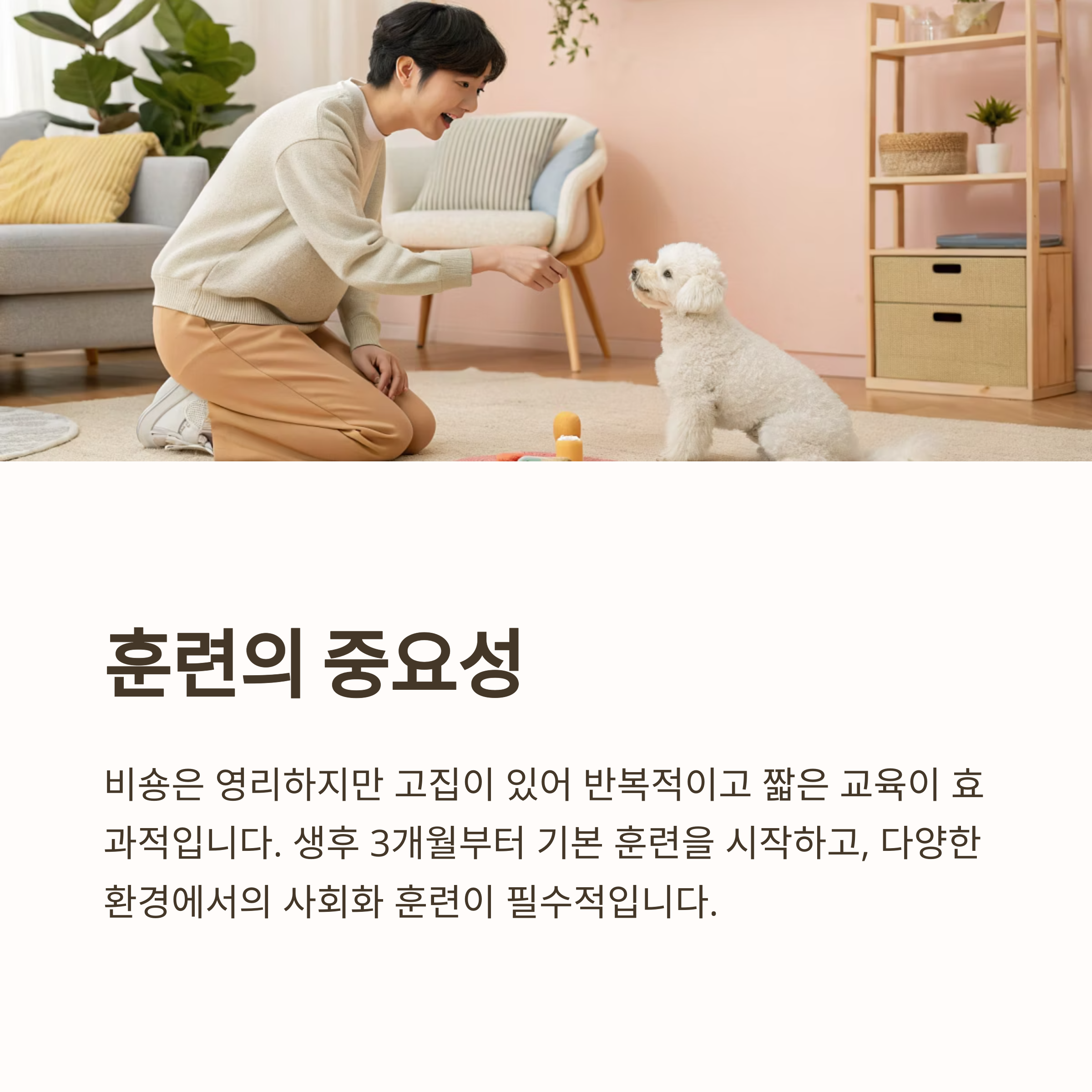 훈련의 중요성