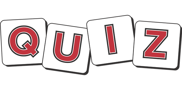 아이큐 테스트 사진