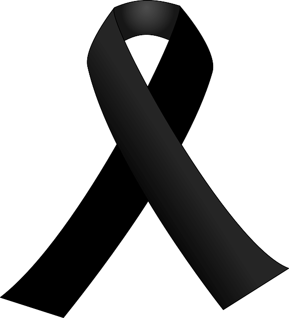 사보타주 뜻 의미 제주항공