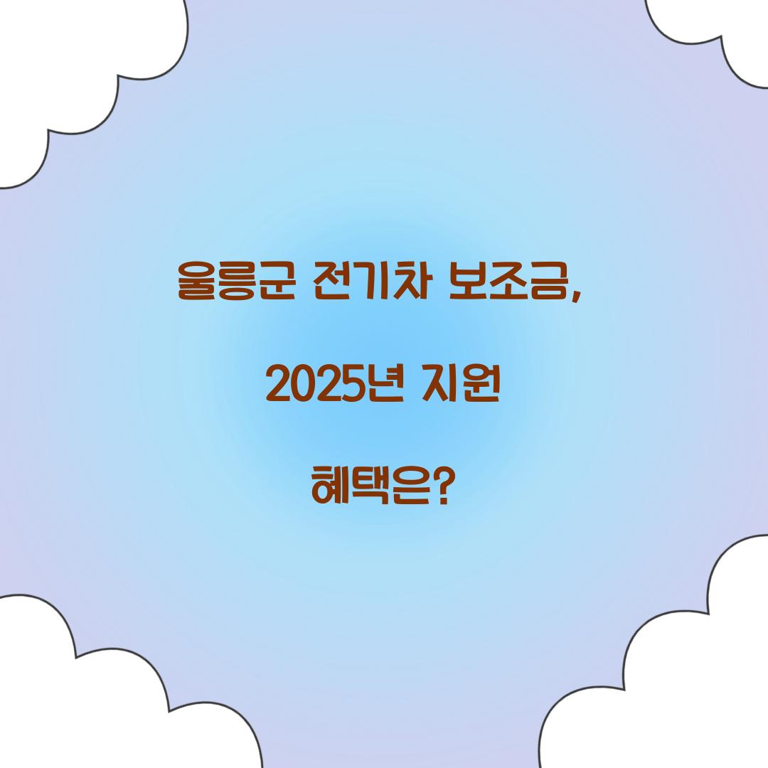 울릉군 전기차 보조금