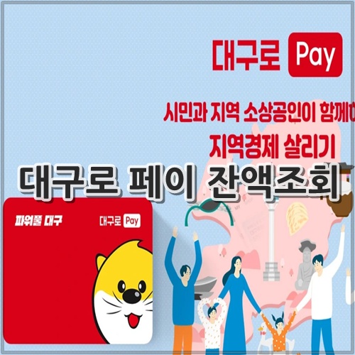 대구로 페이 잔액조회