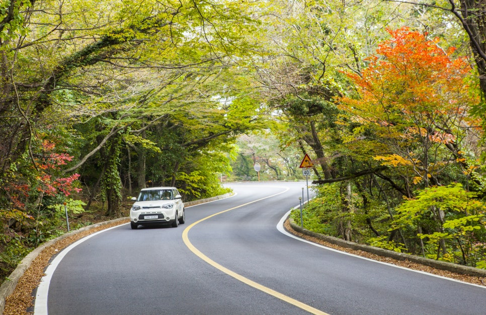가을단풍드라이브