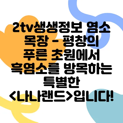 2tv생생정보 염소 목장 - 평창의 푸른 초원에서 흑염소를 방목하는 특별한 <나나랜드>입니다!