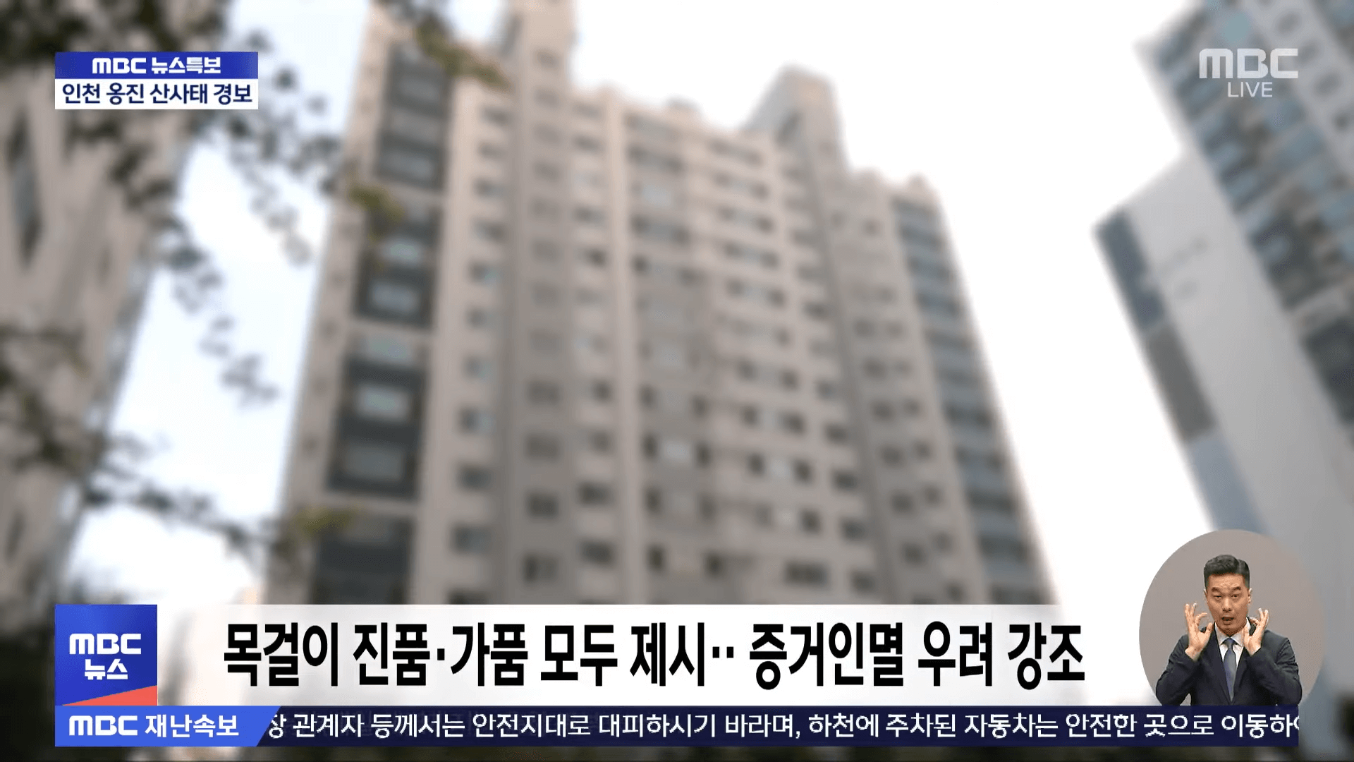 김건희 구속영장 발부