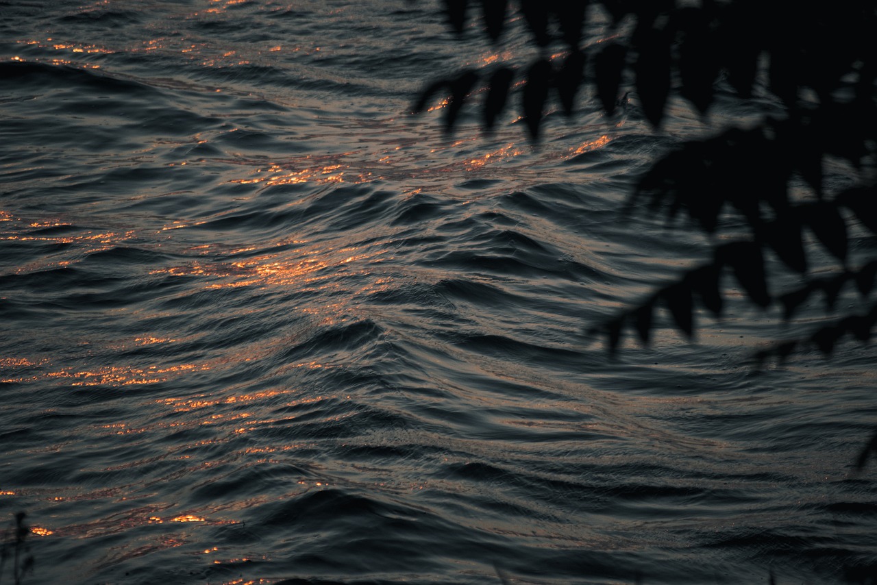 출처- 픽사베이 2박3일 국내가족여행 추천 코스 온 가족이 함께하는 힐링&amp;체험 여행지 BEST