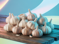 마늘 효능