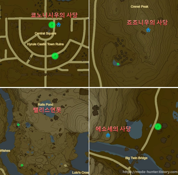 활력개구리 세부 위치