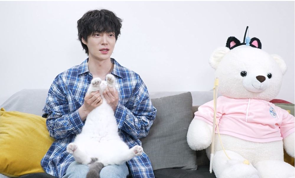안재현 고양이