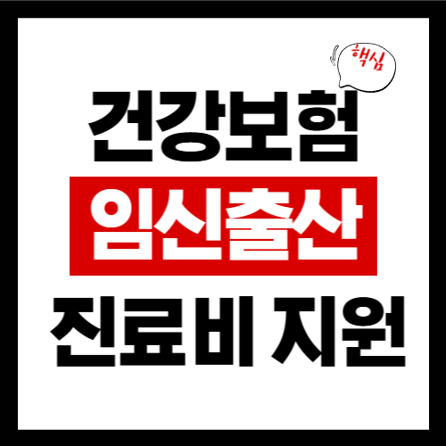 임신출산 지원비