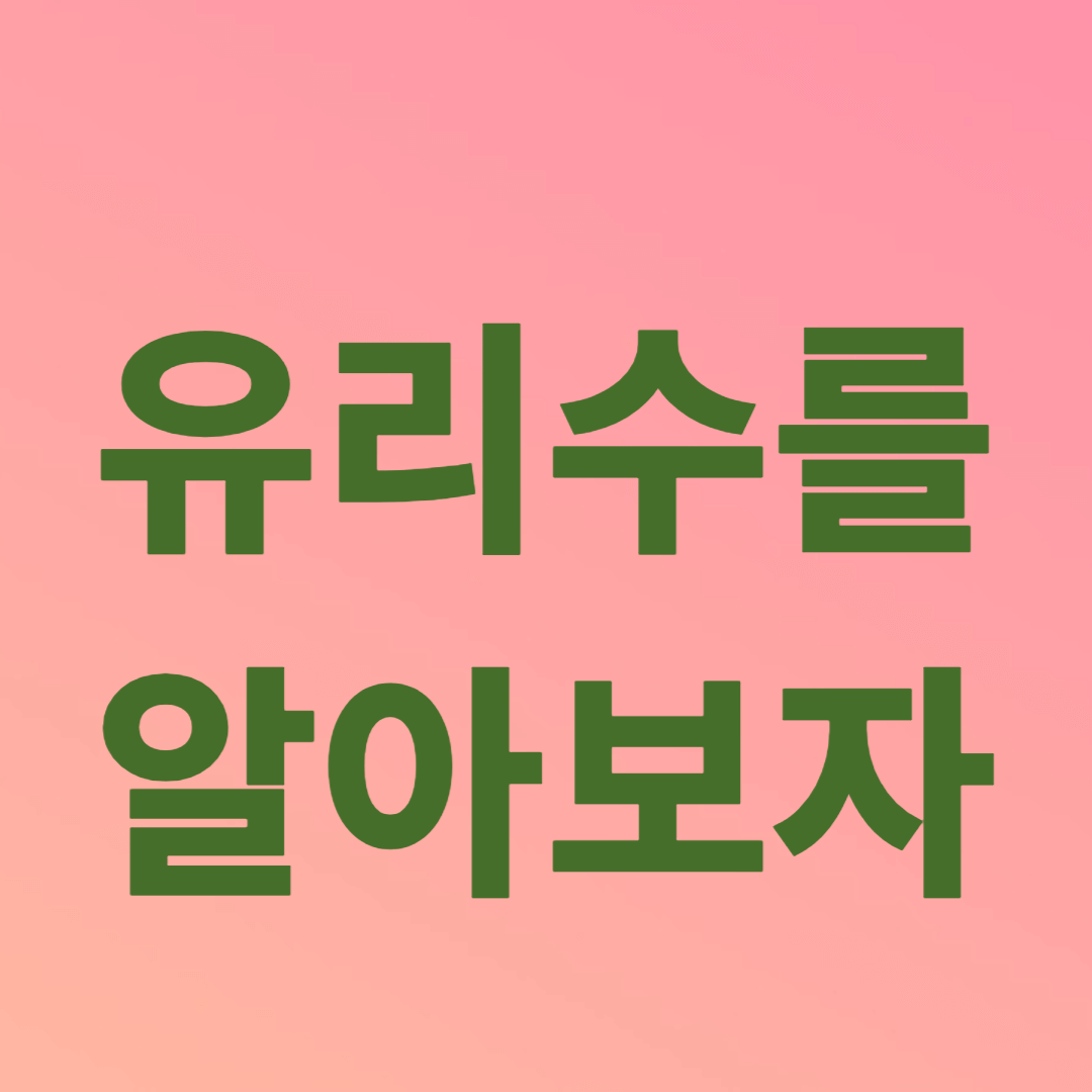 유리수를 알아보자