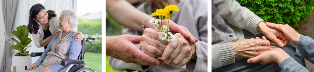 만 65세 이상 의료 혜택