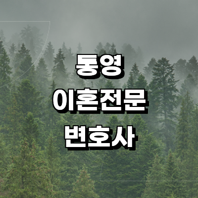 통영시 이혼 변호사