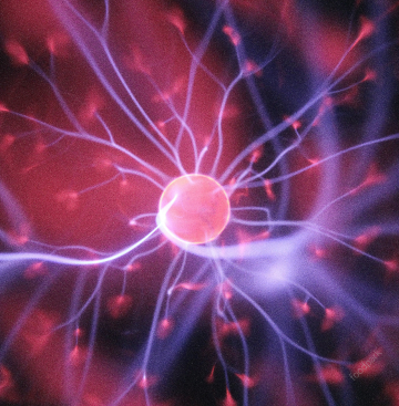 에너지 캐시백 신청방법