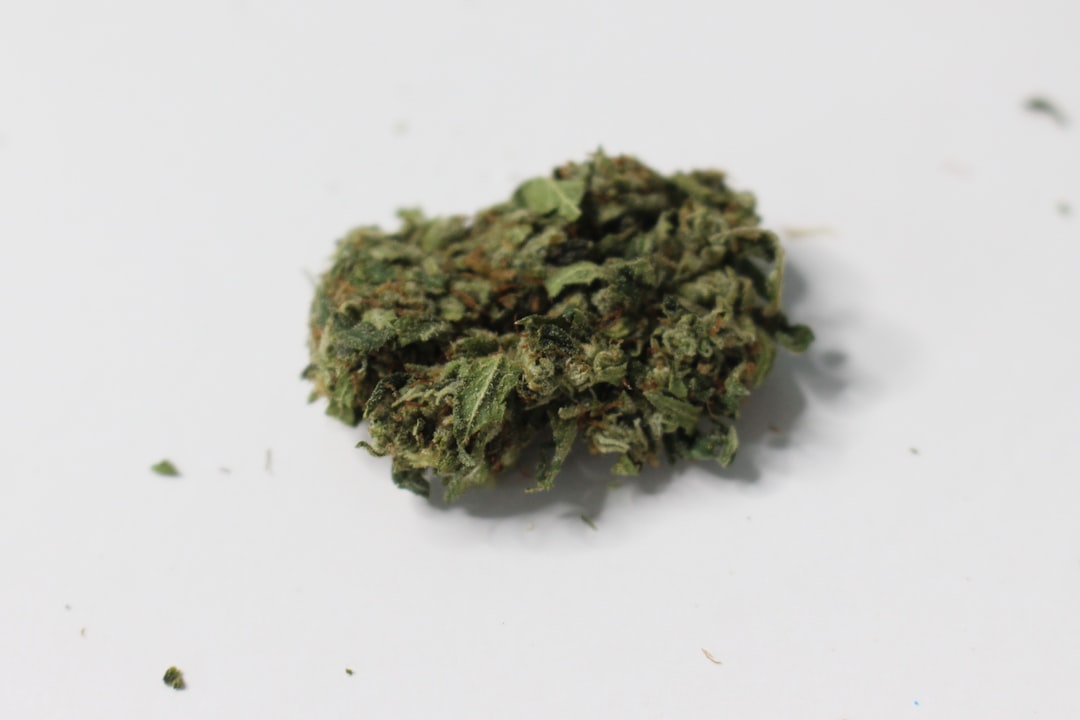 Herb