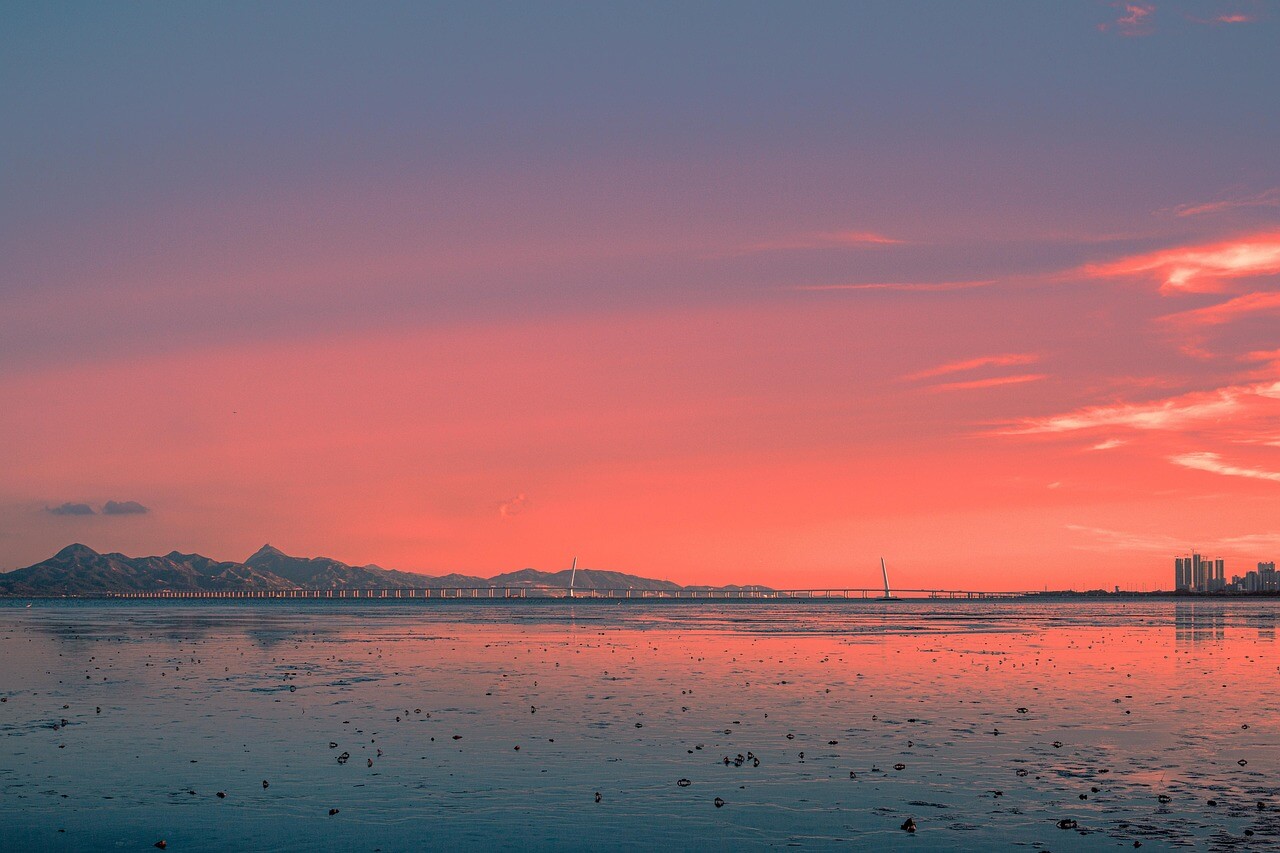 드르니항 맛집부터 튤립축제까지