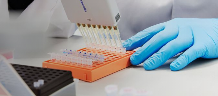 툴젠 주가 전망 주식 분석