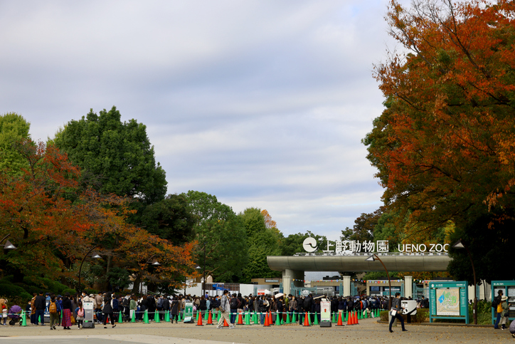 도쿄에 있는 우에노 동물원 입구