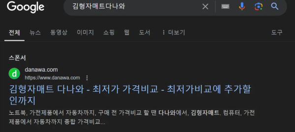 구글 검색창에 김형자매트 다나와 최저가 가격비교 검색 결과 화면