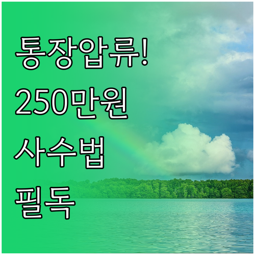 최저 생계비 250만원 초과 예금 압..