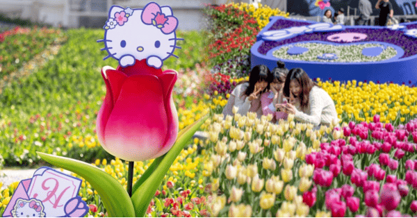 에버랜드 튤립 축제