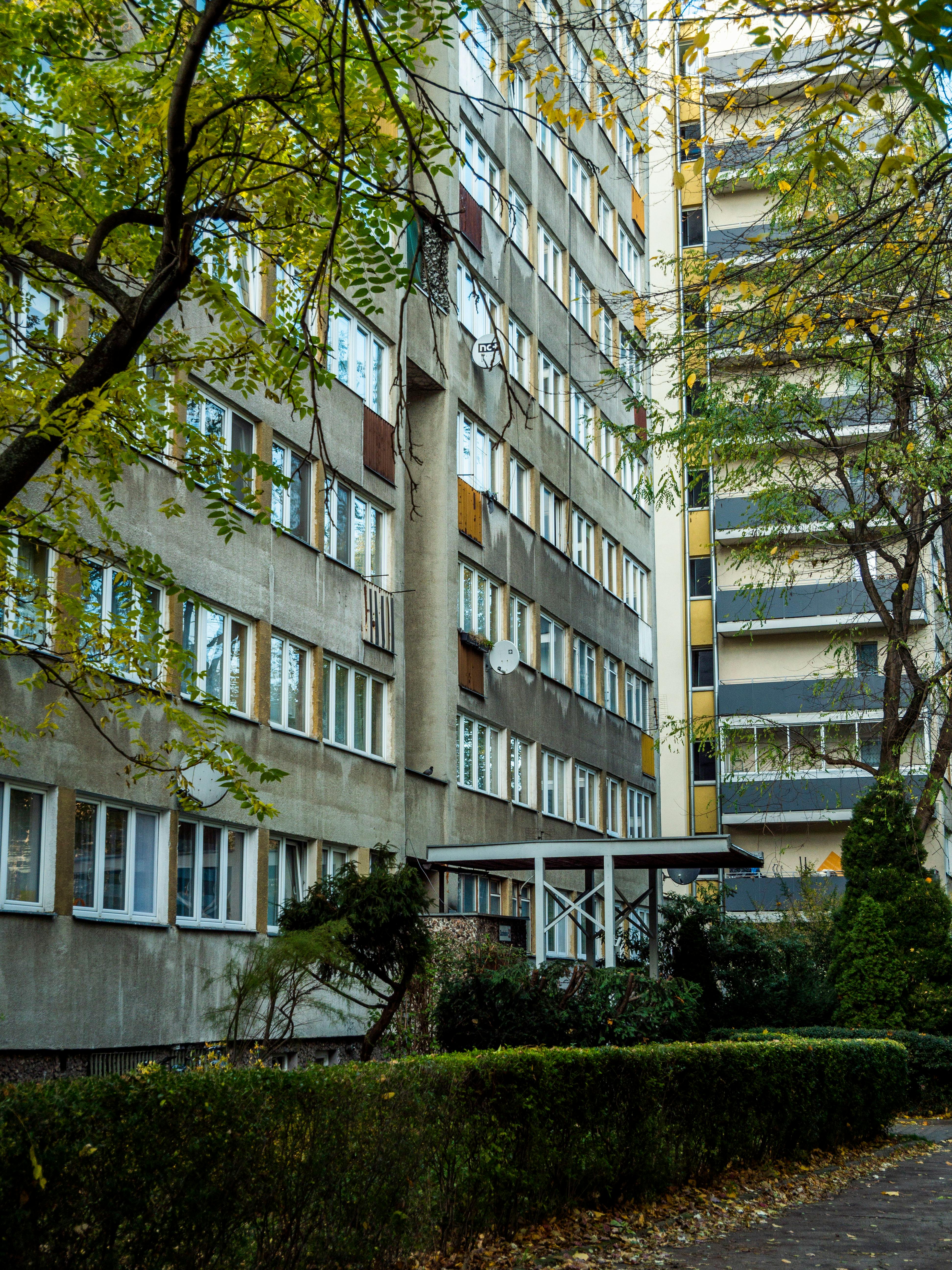 전세퇴거자금대출