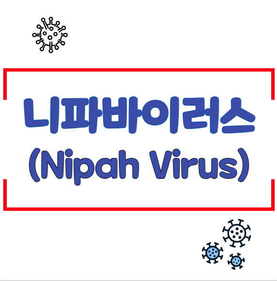 니파바이러스(Nipah Virus) 정보 & 감염 예방법