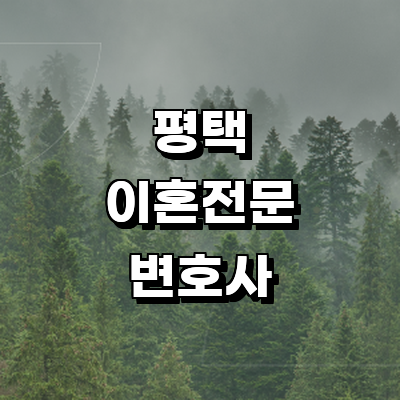 평택시 이혼 변호사