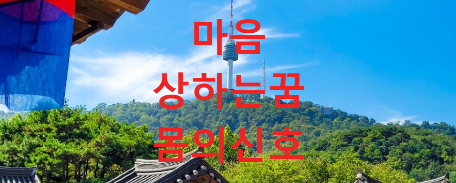 꿈과건강