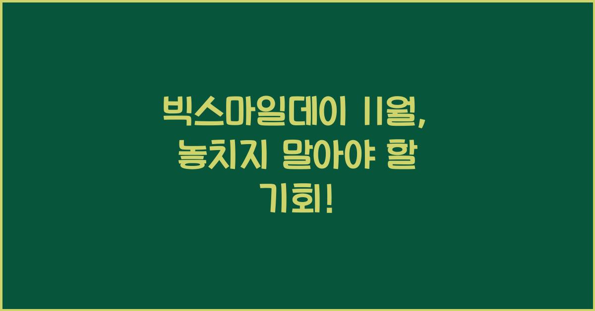 빅스마일데이 11월