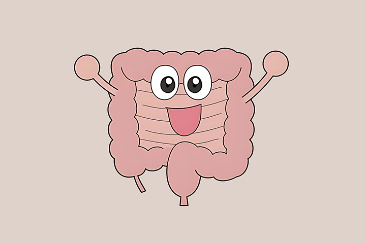 소화-기능-개선