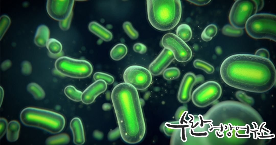 LGG 유산균 효능 부작용