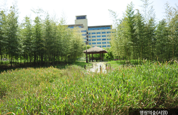 한밭수목원 명소 10선9