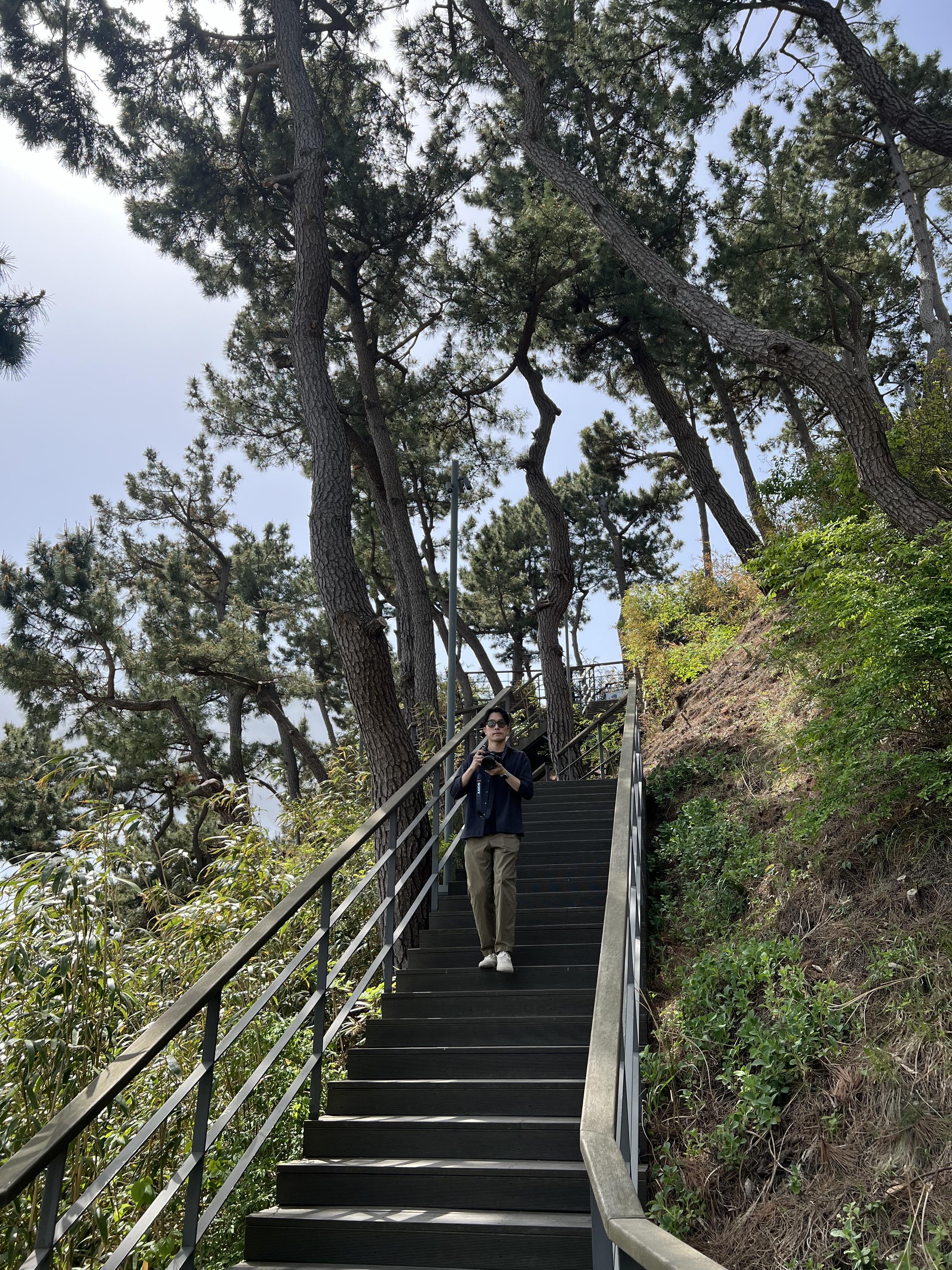 강릉-씨마크호텔-산책