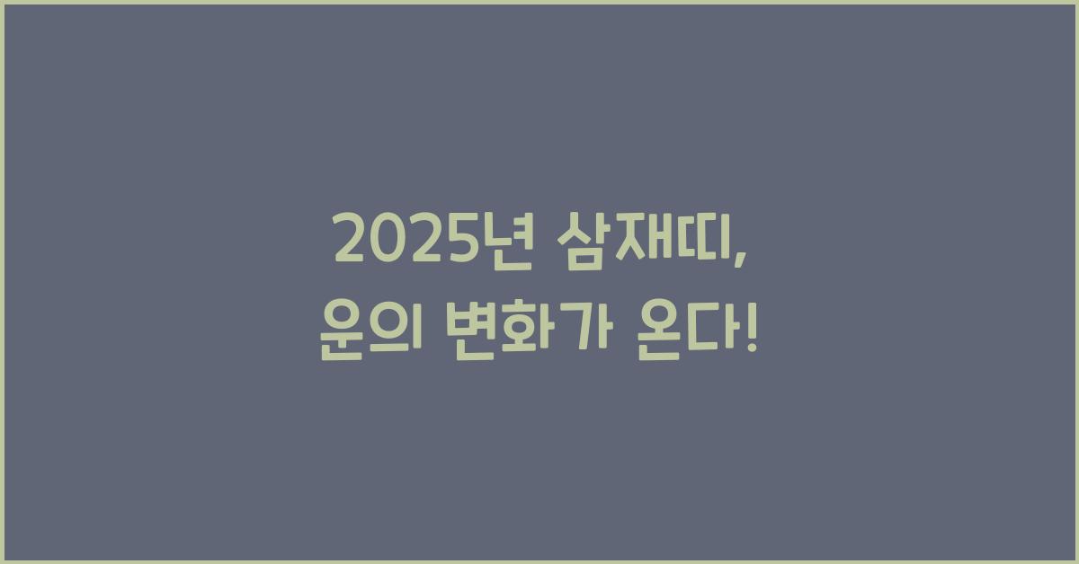 2025년 삼재띠