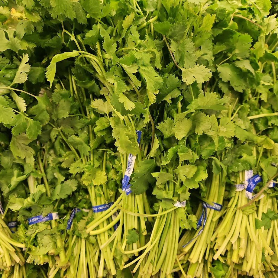 고수 나물 요리 재배 먹는법 무침 김치 만드는 법_3