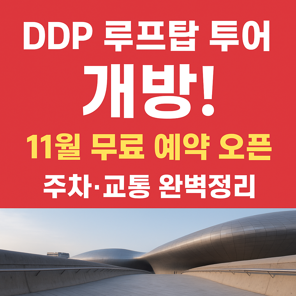 ddp 루프탑 무료