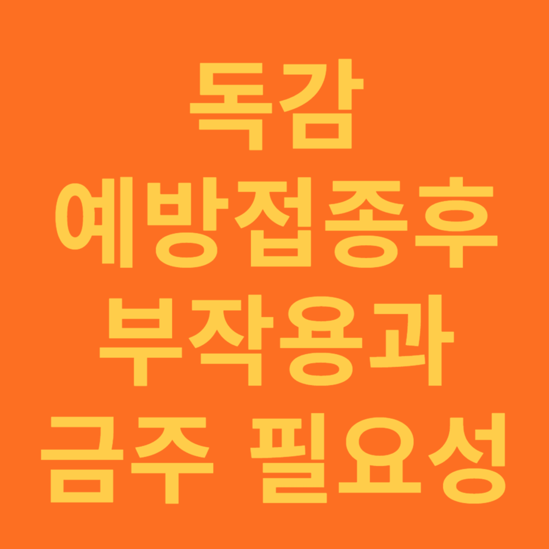 독감 예방 접종 후 금주 필요성 이유