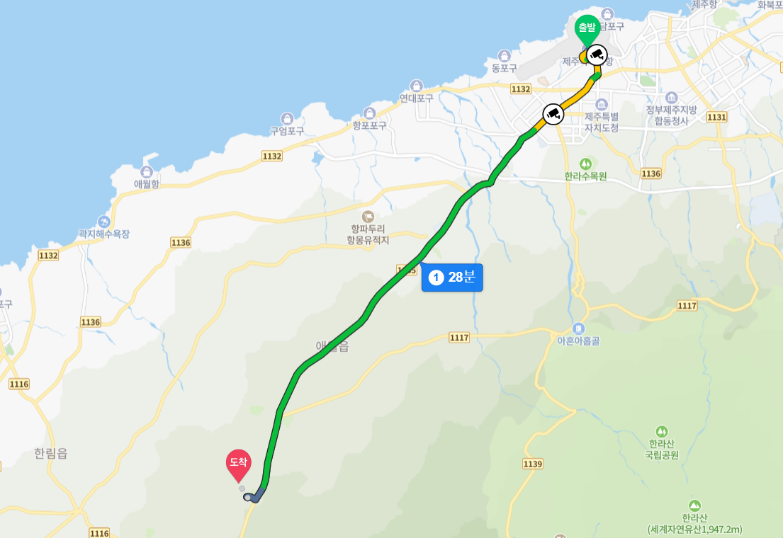 개과천선의 내맘정보공유-2023년 제주도 축제 제주등불축제 일정, 장소, 프로그램 (지역축제, 3월 축제, 봄축제, 축제 추천, 새별오름)