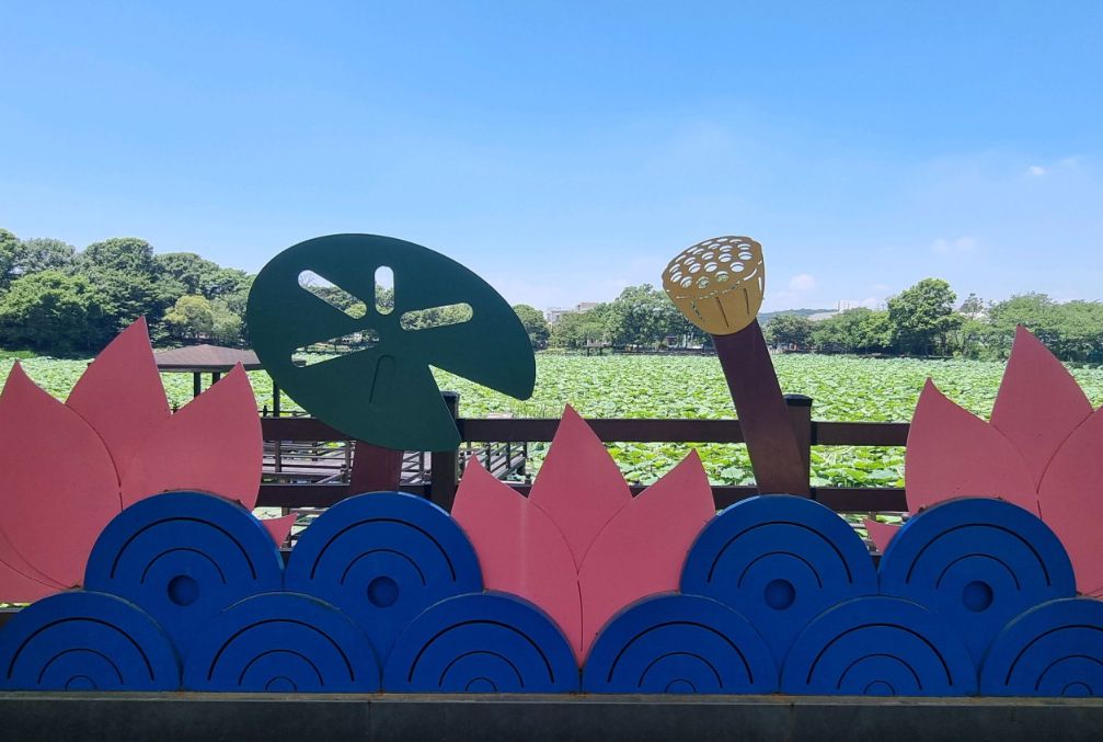 강주연못
