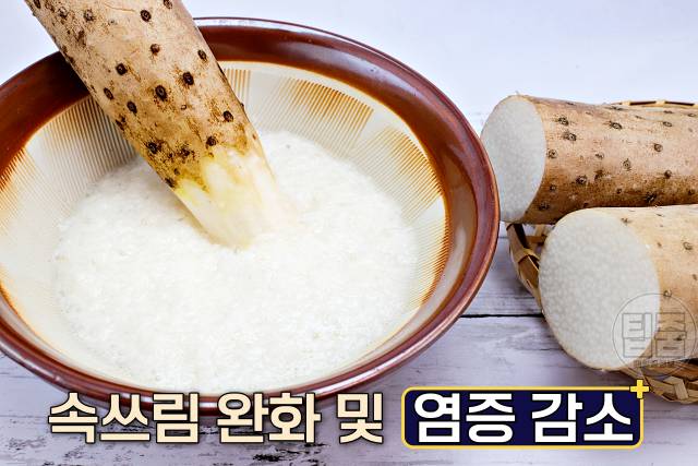 위염에 좋은 음식 참마 위염음식