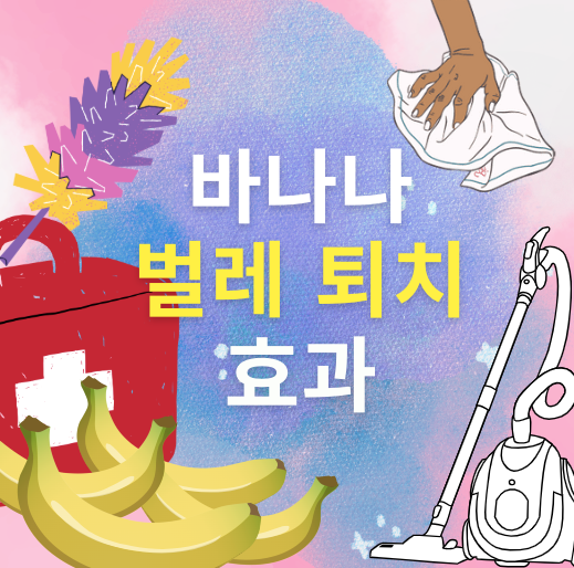 바나나 벌레 퇴치 효과에 대해 이야기합니다.